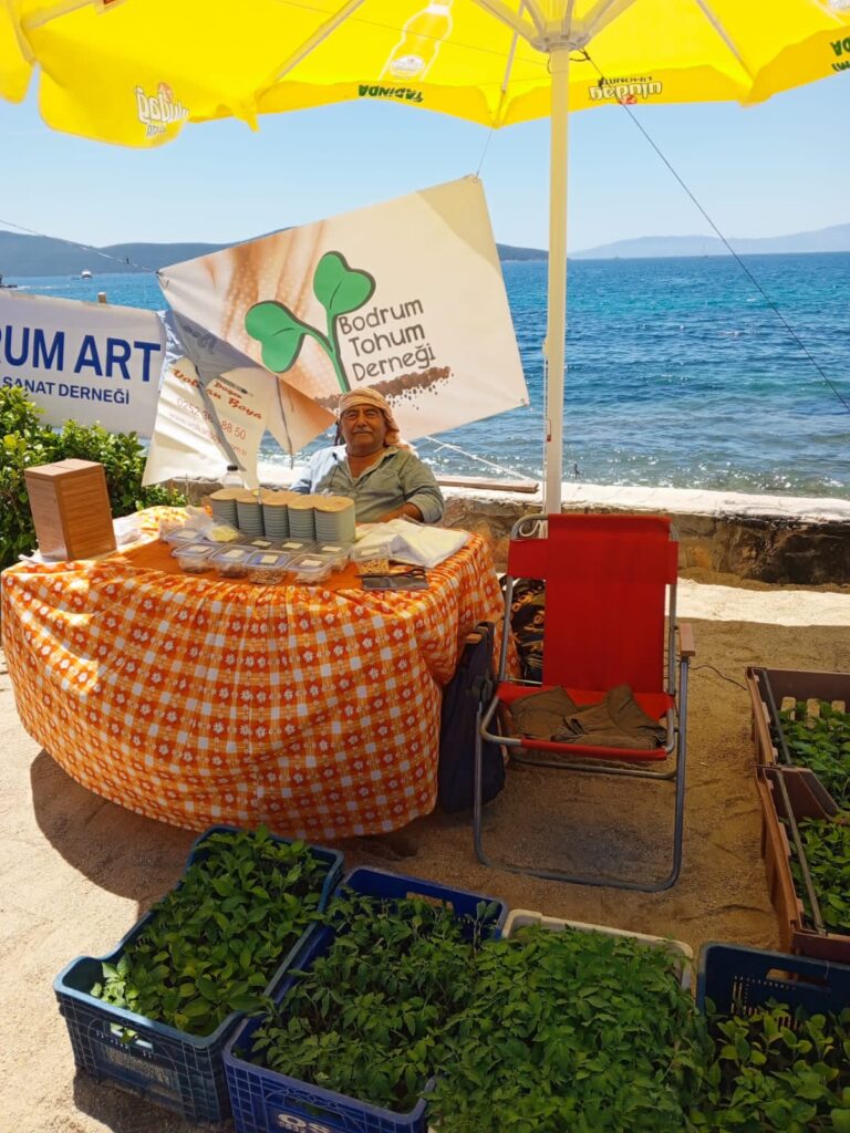 Bodrum Uluslararası Hıdırellez Şenliği'nde atalık tohum standında Ahmet Kocabay.